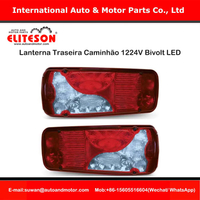 Tail Light YN3130